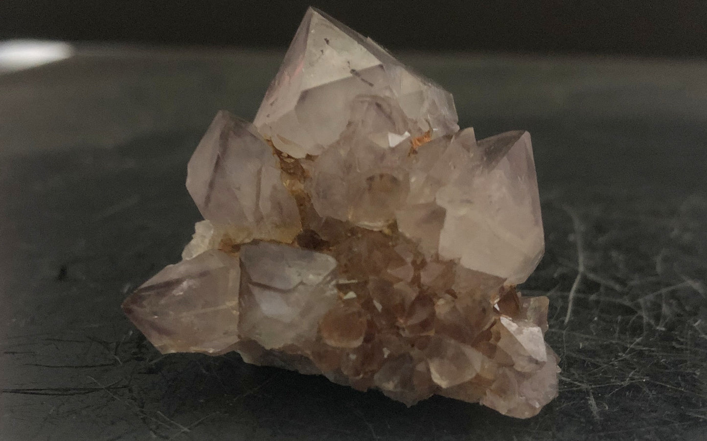 Cactus Amethyst - South Africa 301 | Of Coins & Crystals