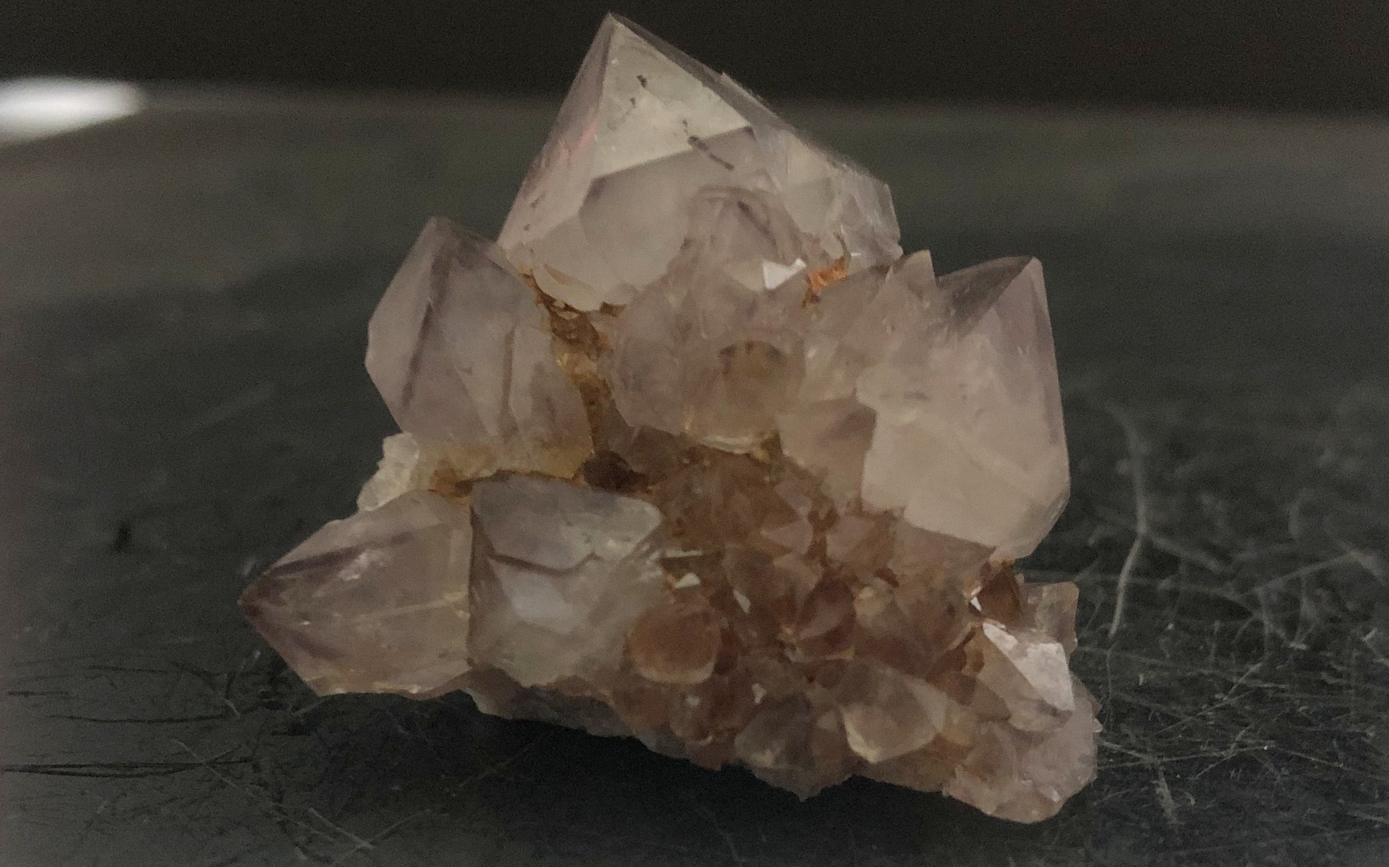 Cactus Amethyst - South Africa 301 | Of Coins & Crystals