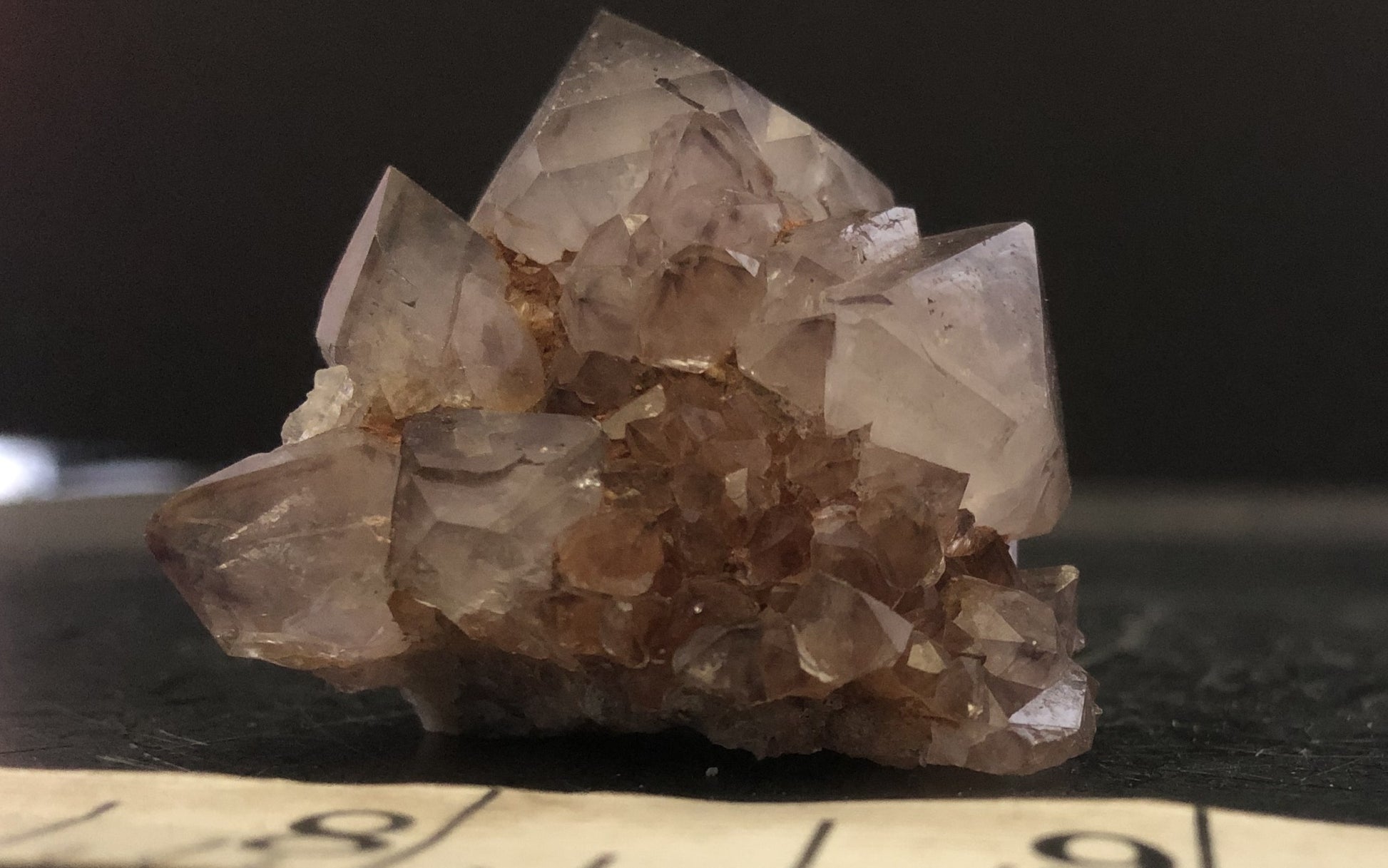 Cactus Amethyst - South Africa 301 | Of Coins & Crystals