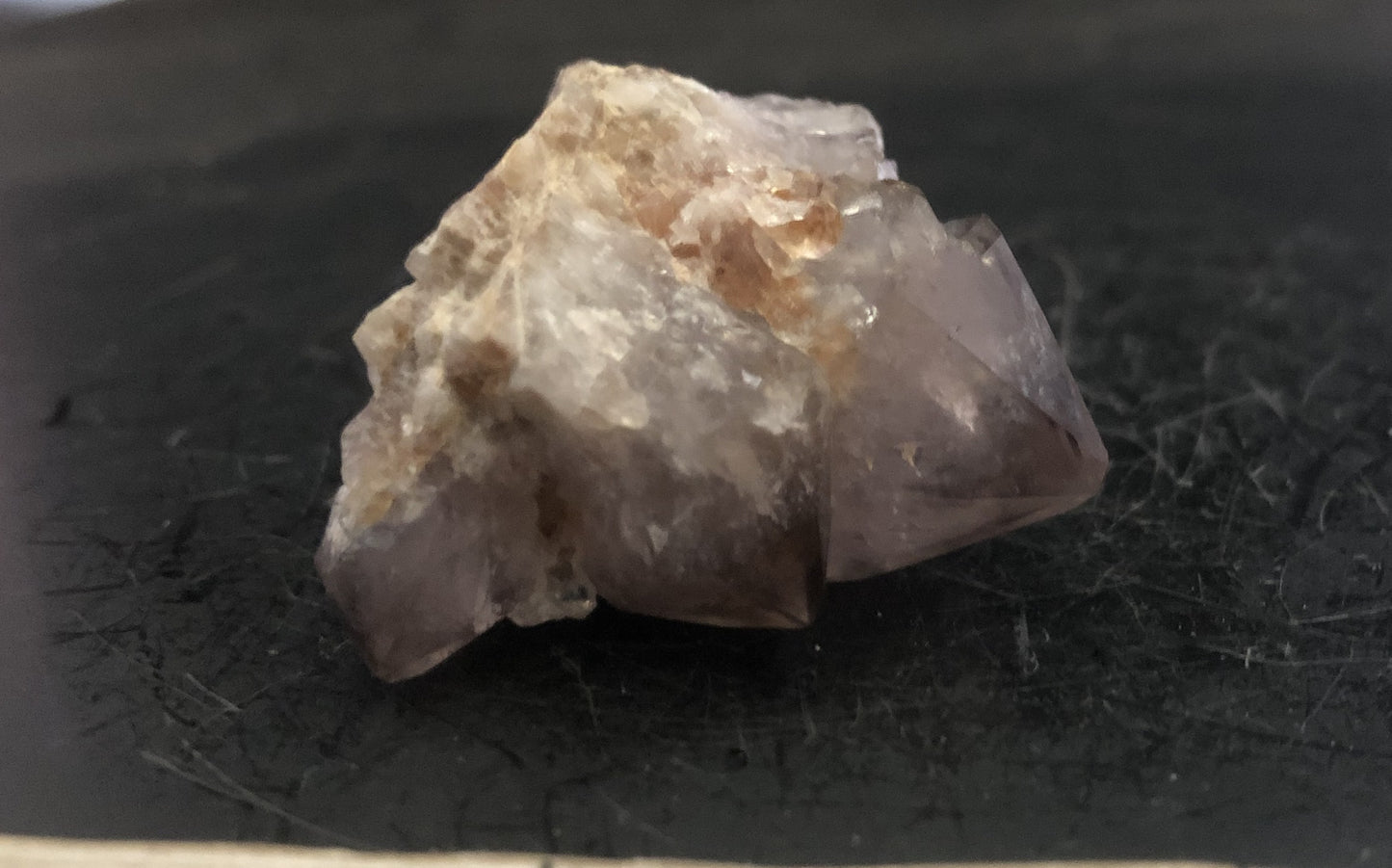 Cactus Amethyst - South Africa 301 | Of Coins & Crystals