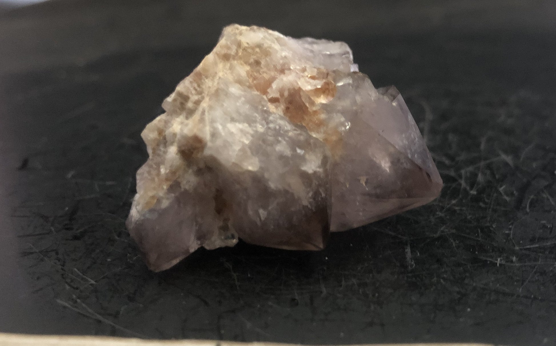 Cactus Amethyst - South Africa 301 | Of Coins & Crystals