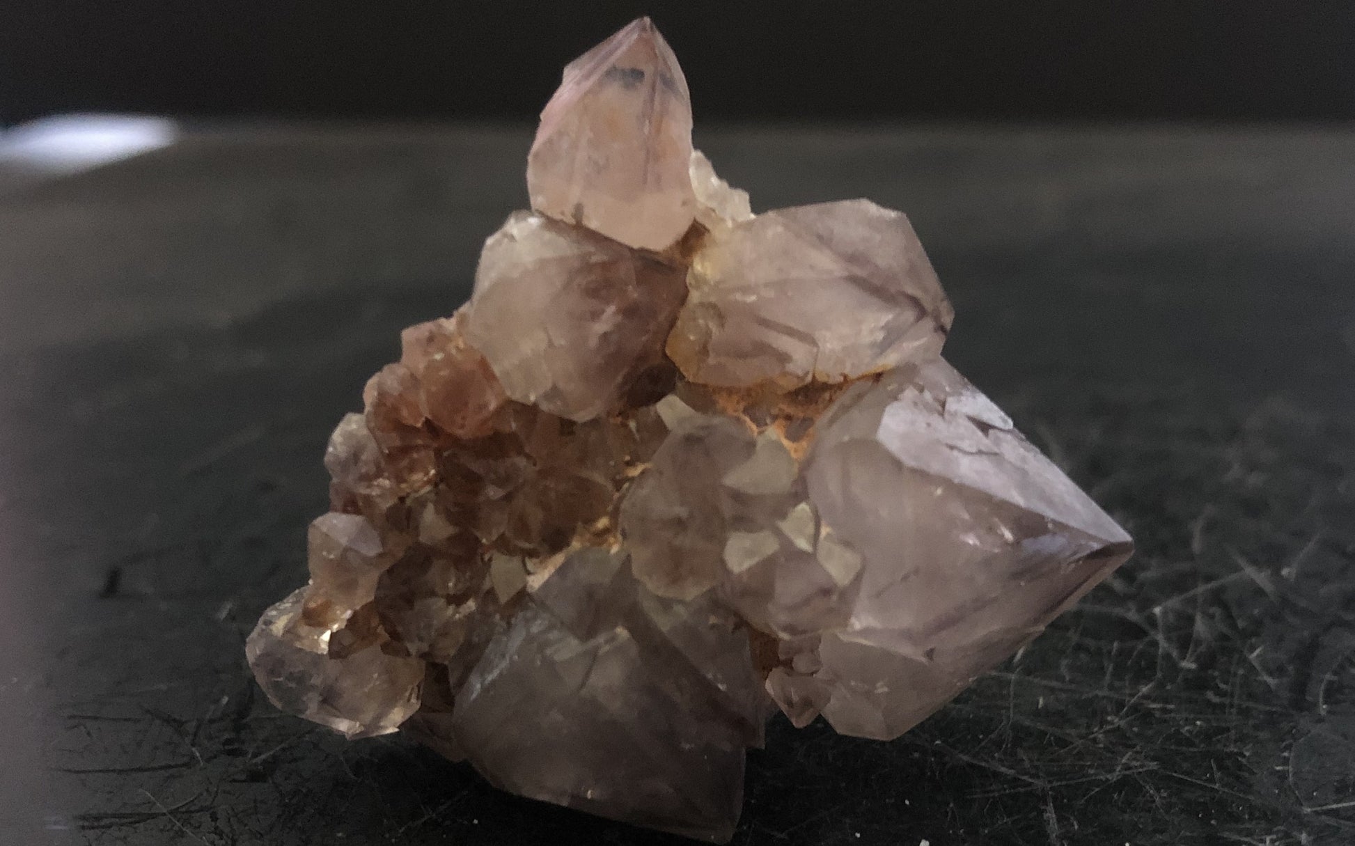 Cactus Amethyst - South Africa 301 | Of Coins & Crystals