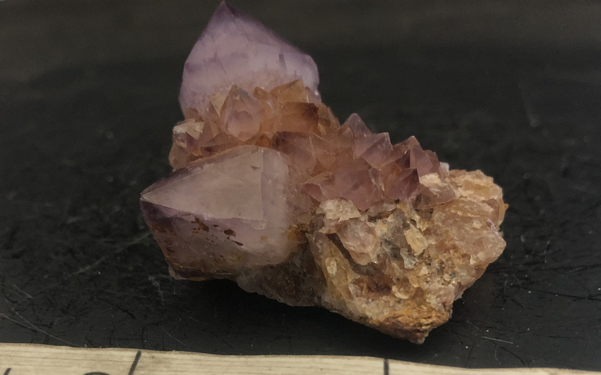 Cactus Amethyst - South Africa 303 | Of Coins & Crystals
