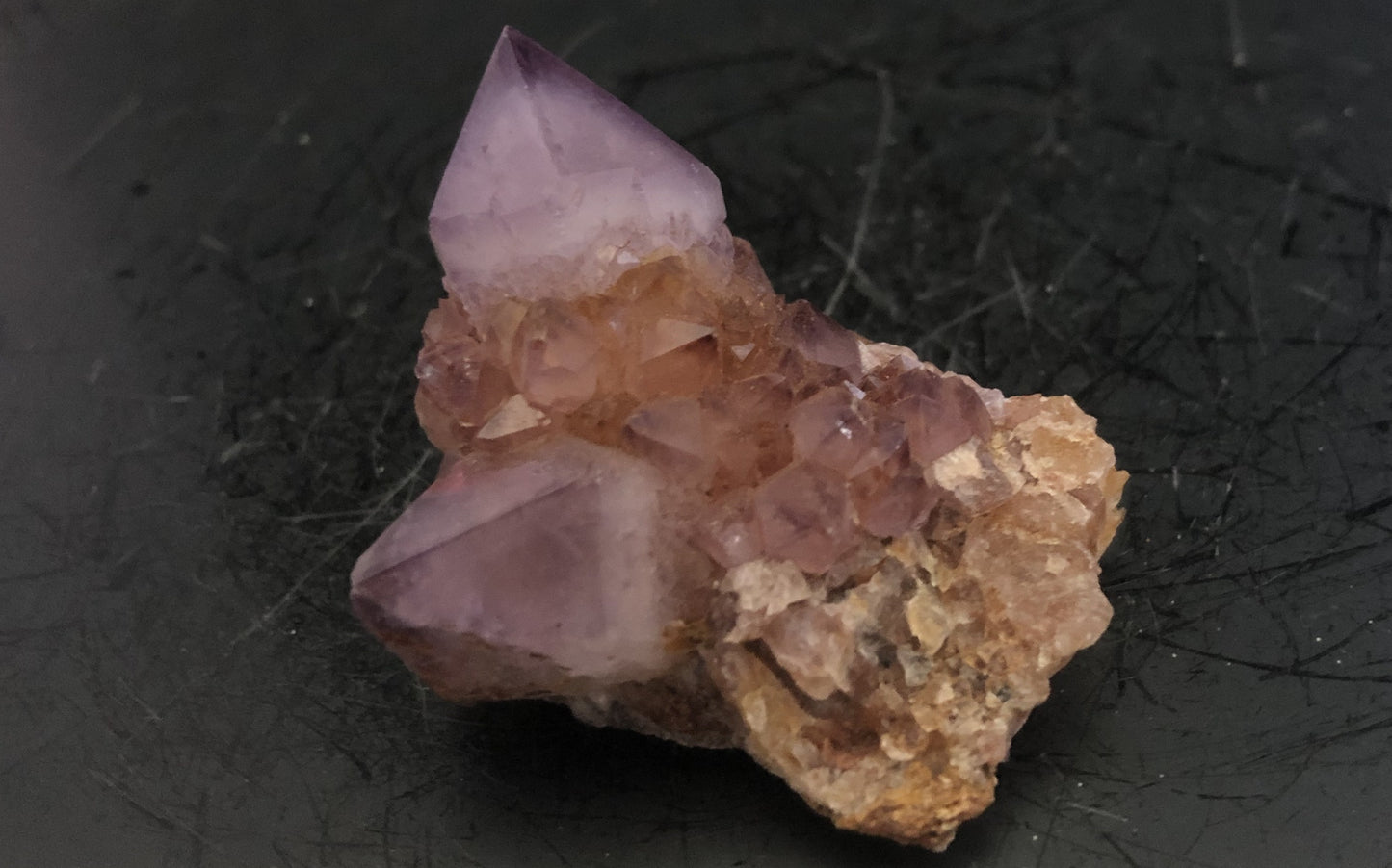 Cactus Amethyst - South Africa 303 | Of Coins & Crystals