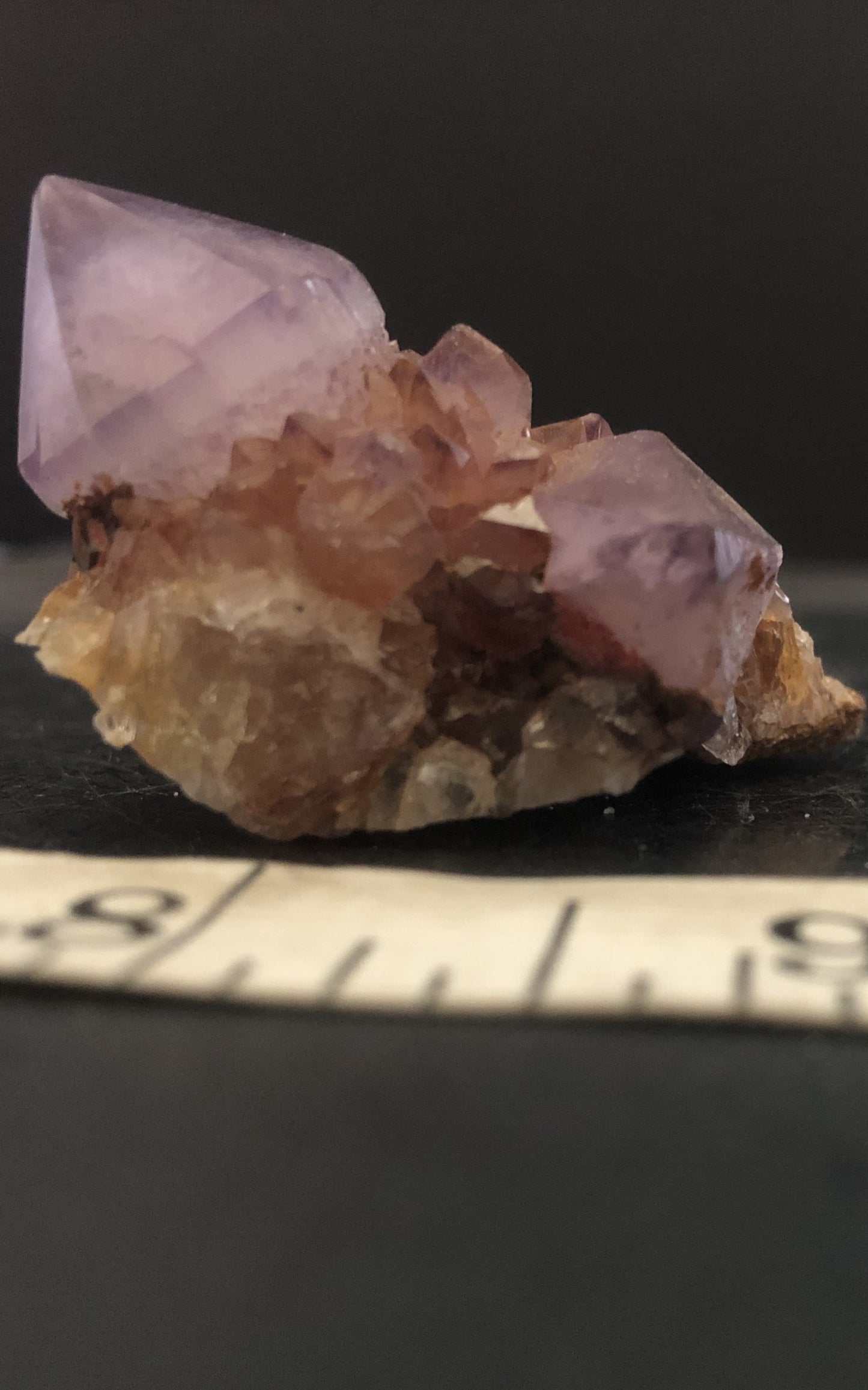 Cactus Amethyst - South Africa 303 | Of Coins & Crystals