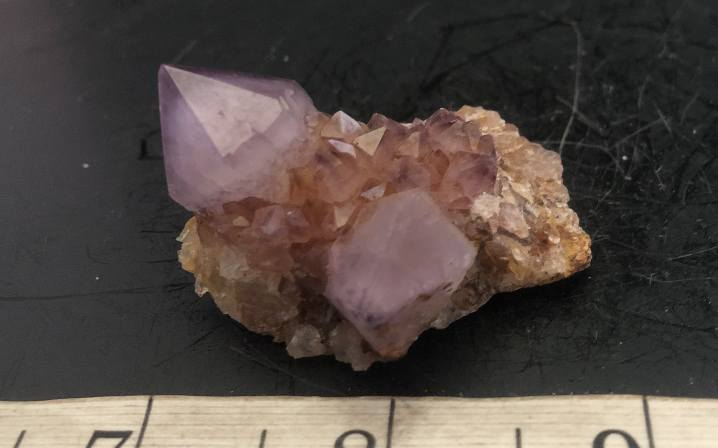 Cactus Amethyst - South Africa 303 | Of Coins & Crystals