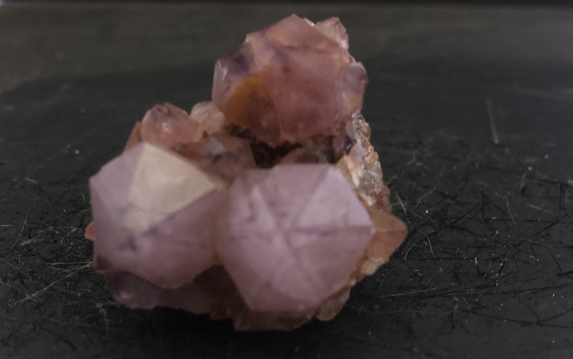 Cactus Amethyst - South Africa 304 | Of Coins & Crystals