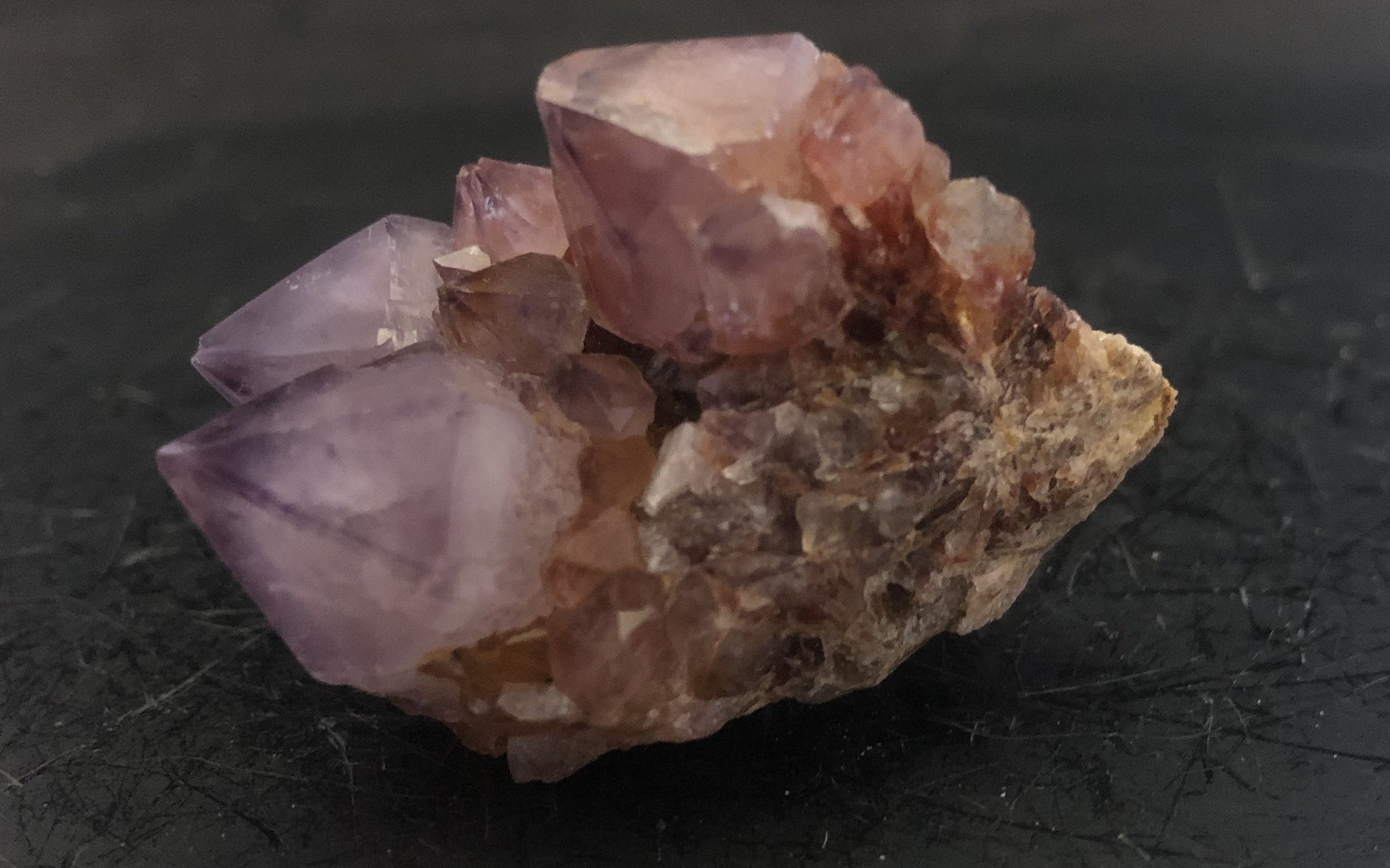 Cactus Amethyst - South Africa 304 | Of Coins & Crystals