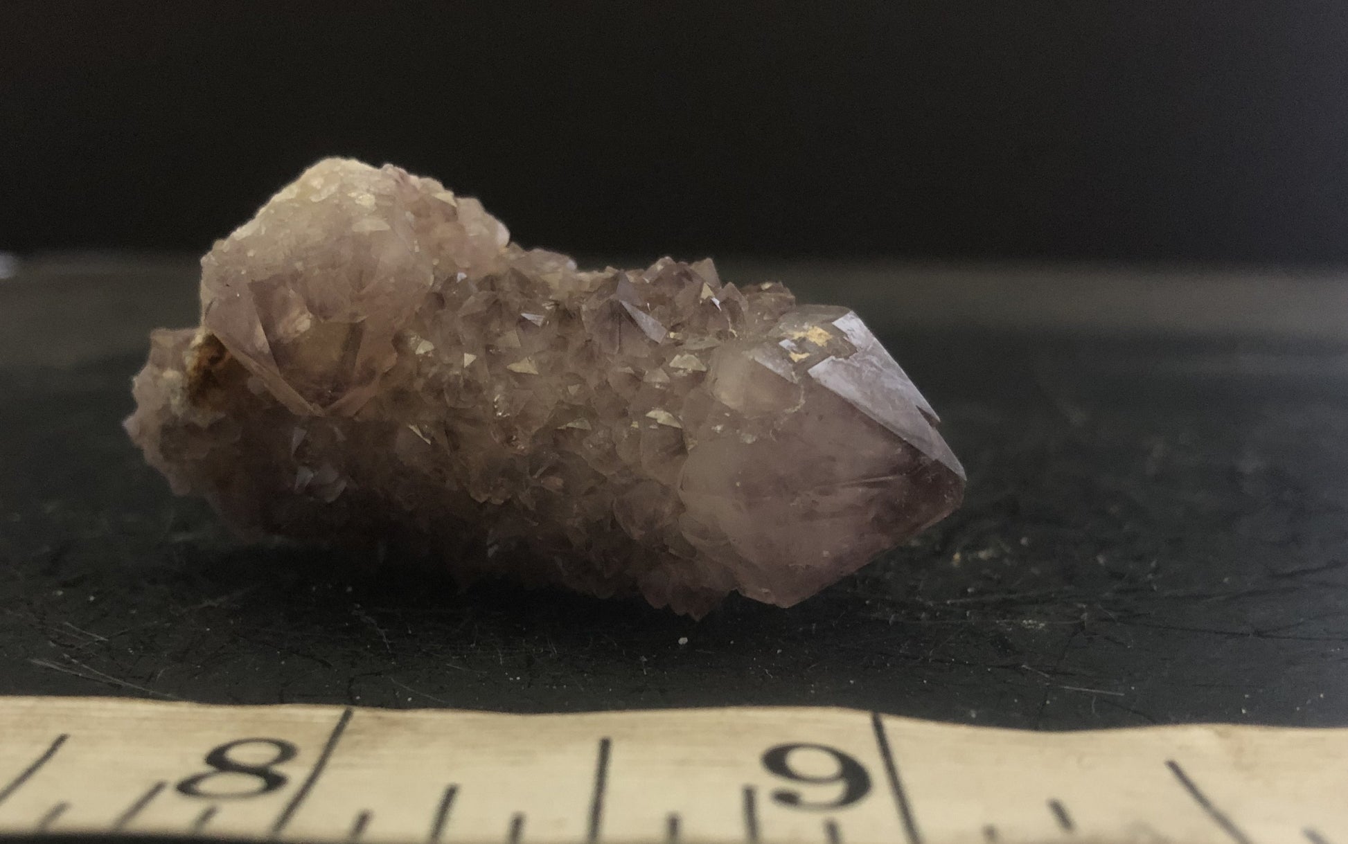 Cactus Amethyst - South Africa 302 | Of Coins & Crystals