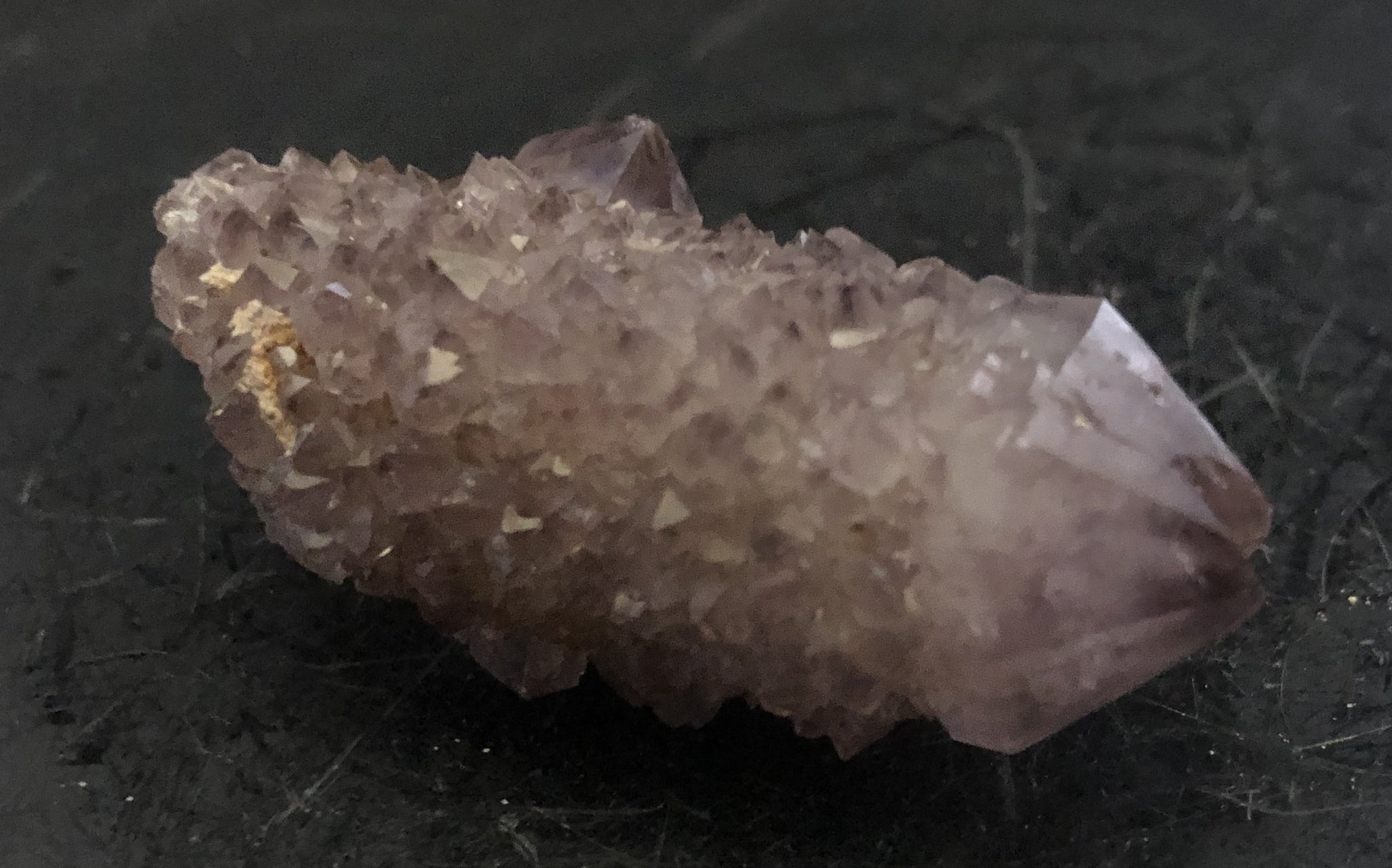 Cactus Amethyst - South Africa 302 | Of Coins & Crystals