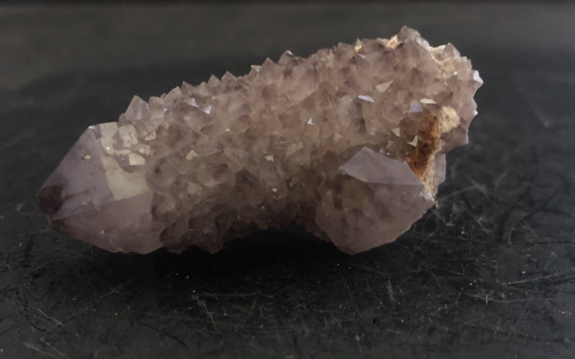 Cactus Amethyst - South Africa 302 | Of Coins & Crystals