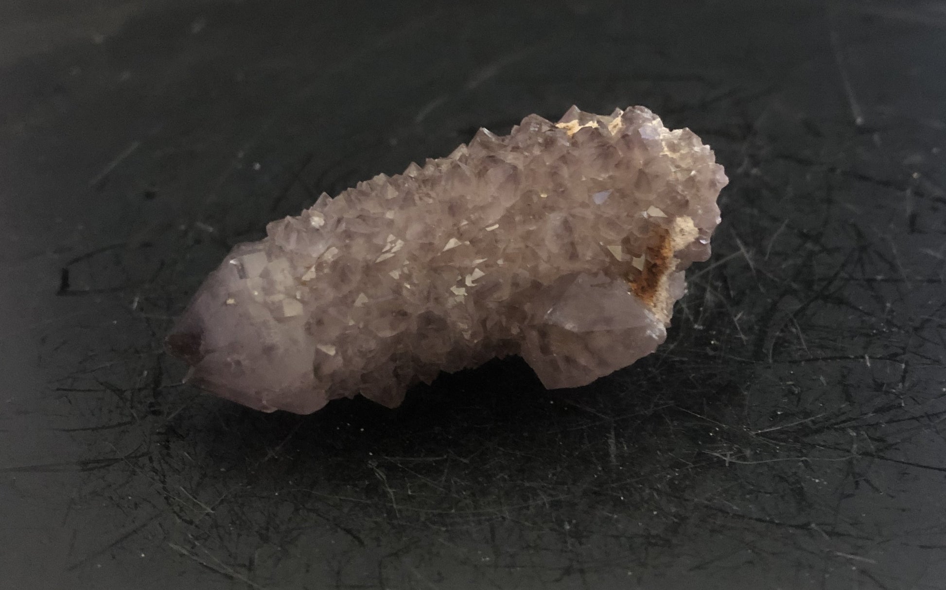 Cactus Amethyst - South Africa 302 | Of Coins & Crystals