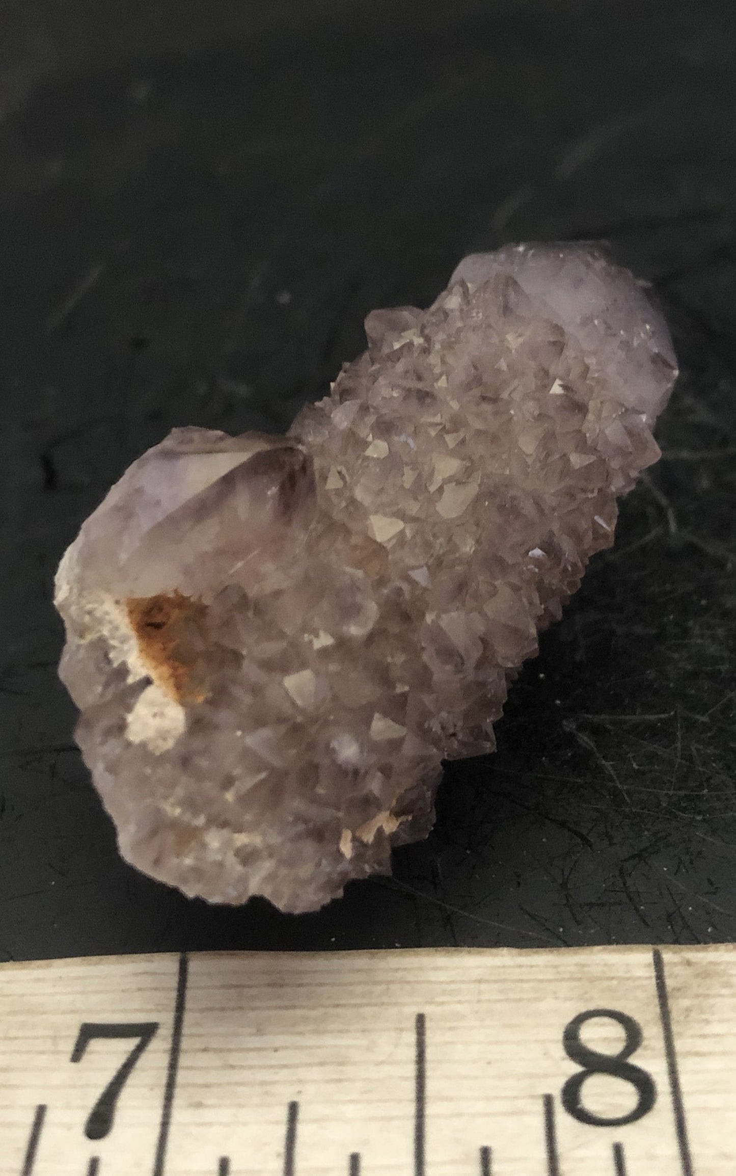 Cactus Amethyst - South Africa 302 | Of Coins & Crystals