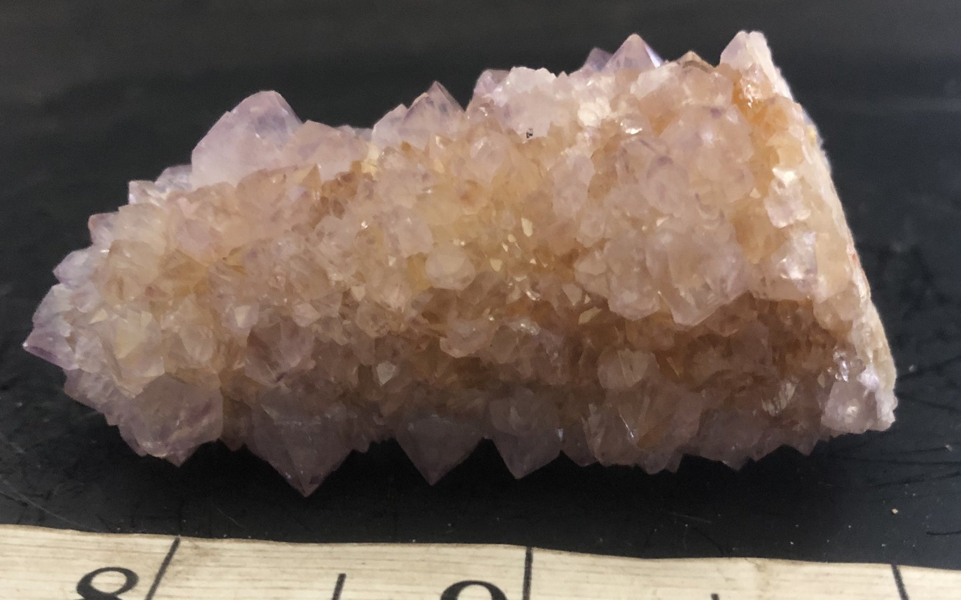Cactus Amethyst - South Africa 300 | Of Coins & Crystals
