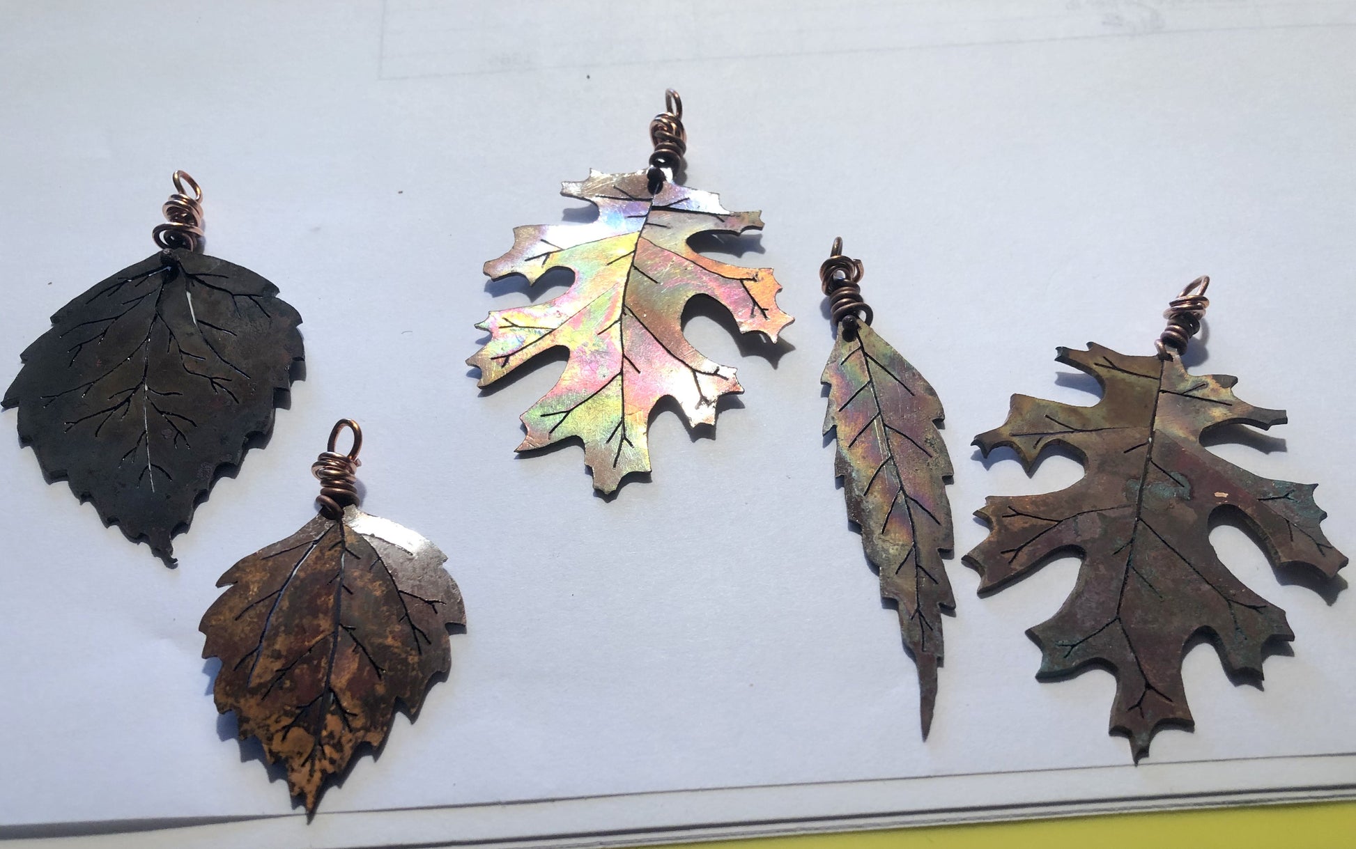 Birch, Hibiscus, black Oak, Willow