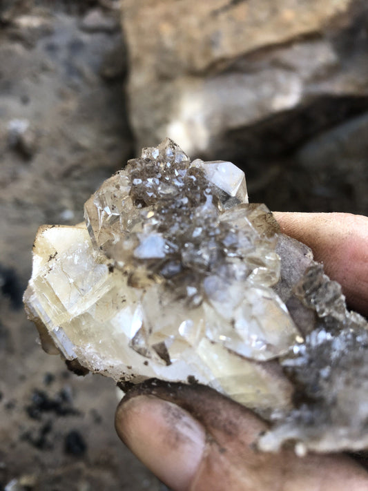 Drusy Cluster in Calcite | Of Coins & Crystals