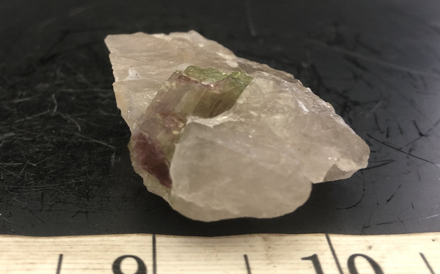 Watermelon Tourmaline in Quartz L | Of Coins & Crystals