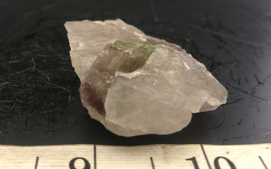Watermelon Tourmaline in Quartz L | Of Coins & Crystals
