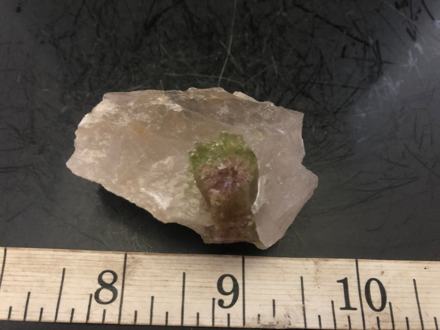 Watermelon Tourmaline in Quartz L | Of Coins & Crystals