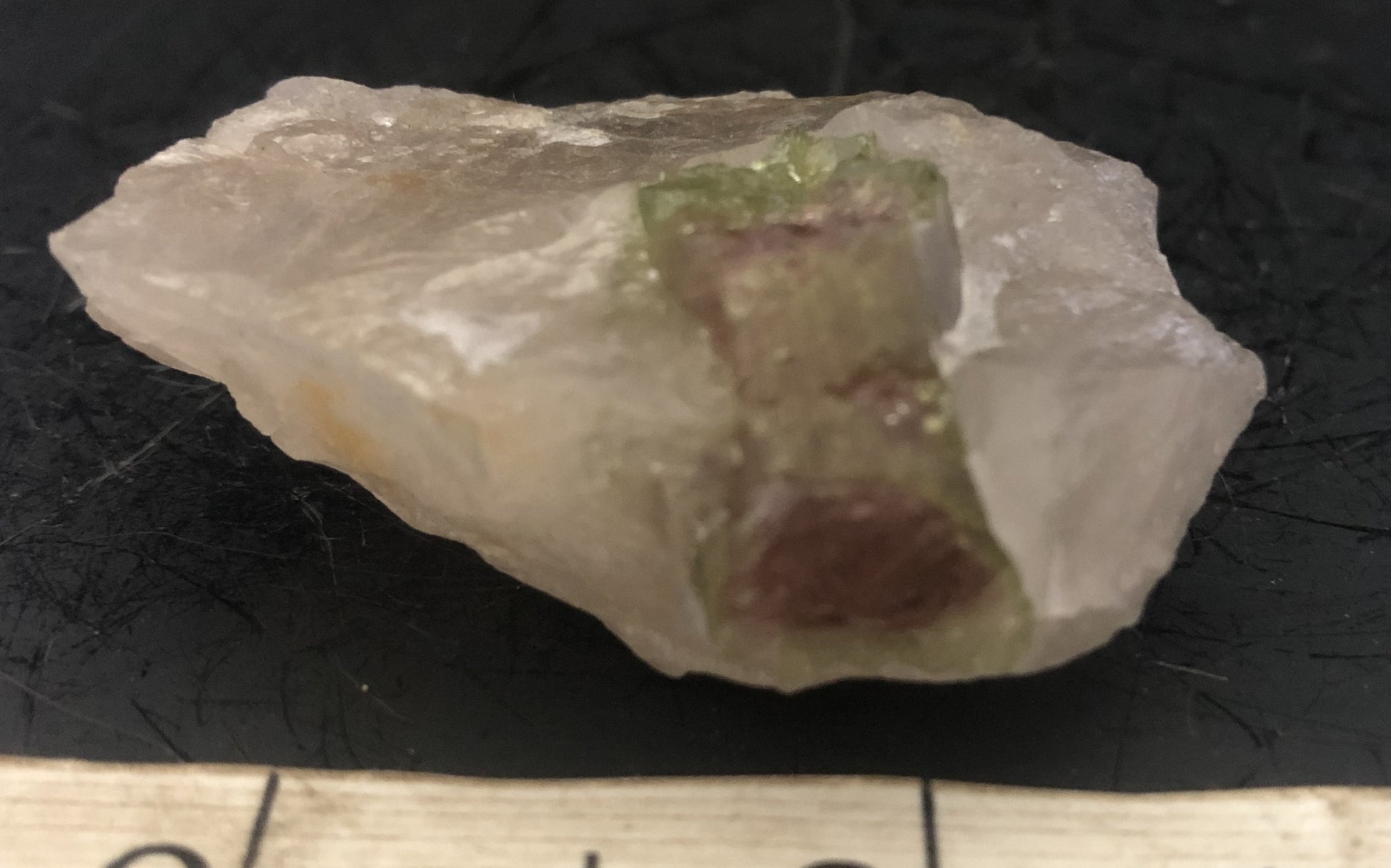 Watermelon Tourmaline in Quartz L | Of Coins & Crystals