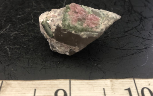Watermelon Tourmaline in Quartz SM | Of Coins & Crystals