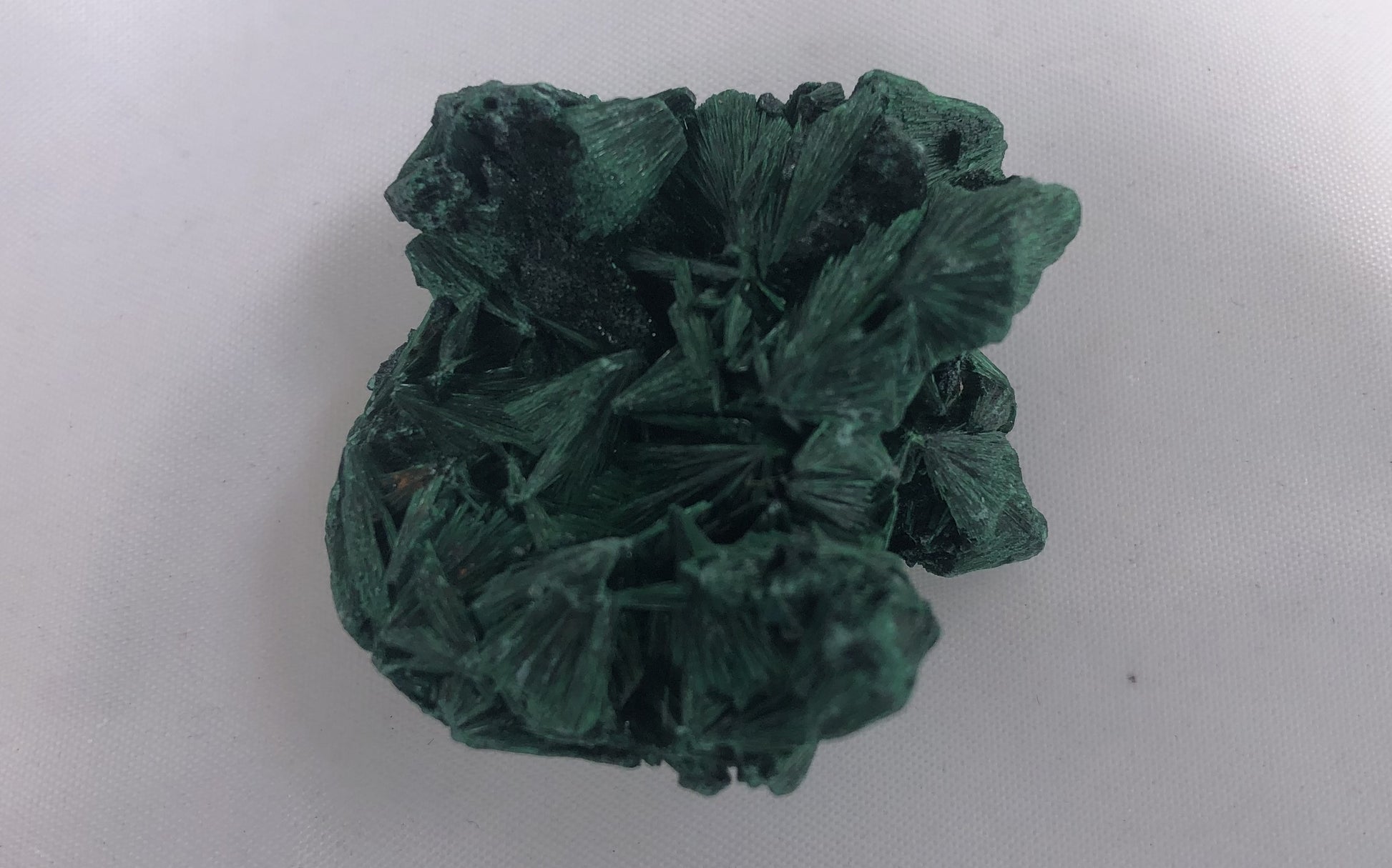 Fibrous Malachite 16 - Congo | Of Coins & Crystals