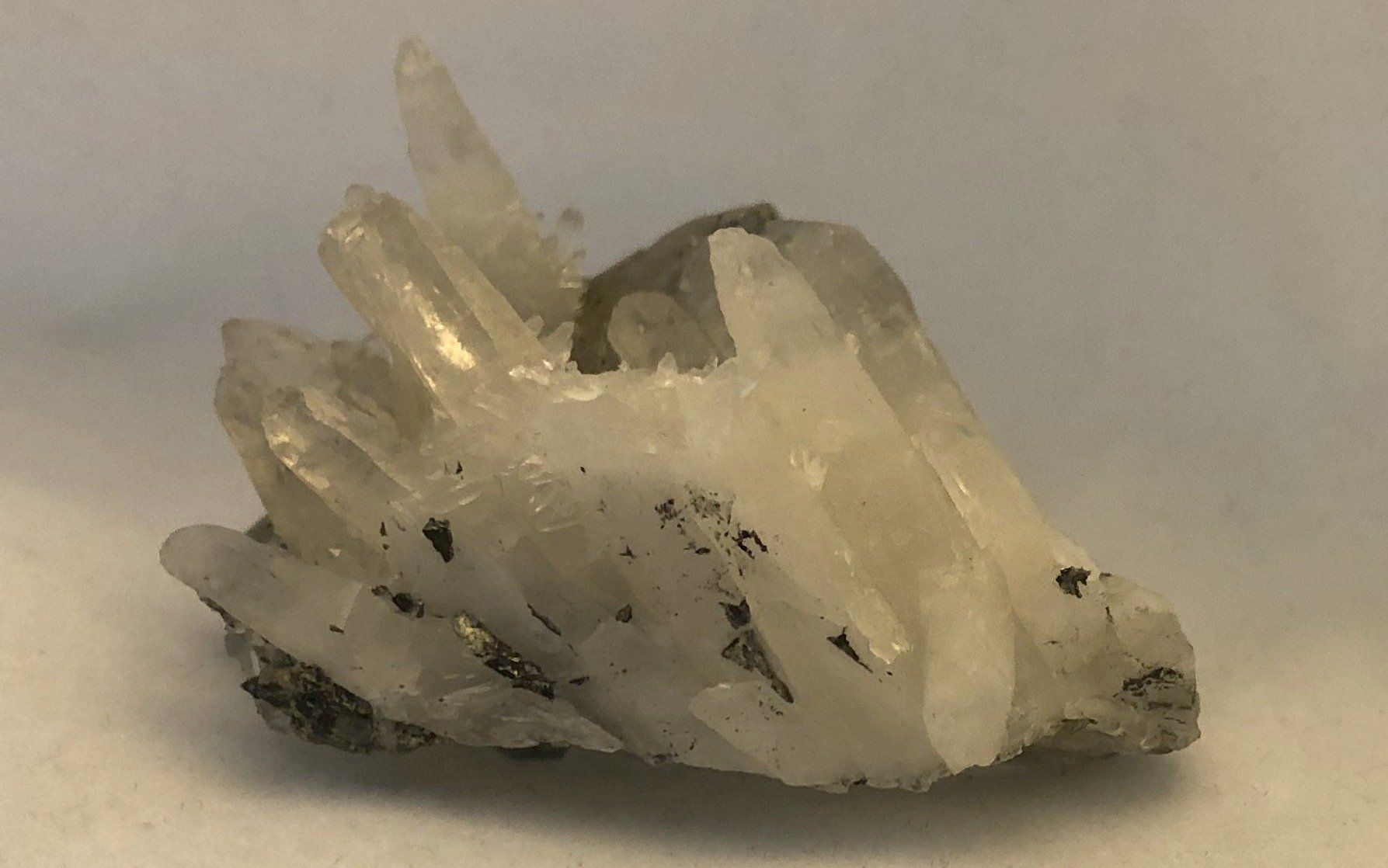 Quartz with Pyrite -  Peru | Of Coins & Crystals