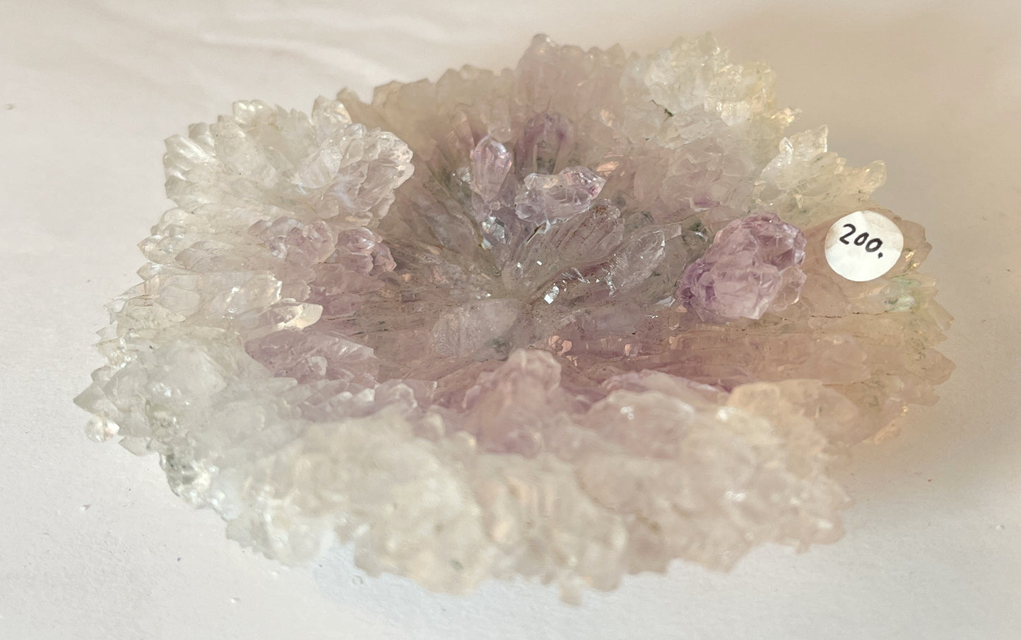 Rose Amethyst 9 - Irai, Rio Grande do Sul, Brazil