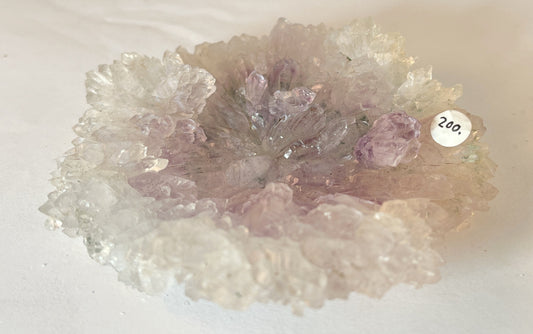 Rose Amethyst 9 - Irai, Rio Grande do Sul, Brazil