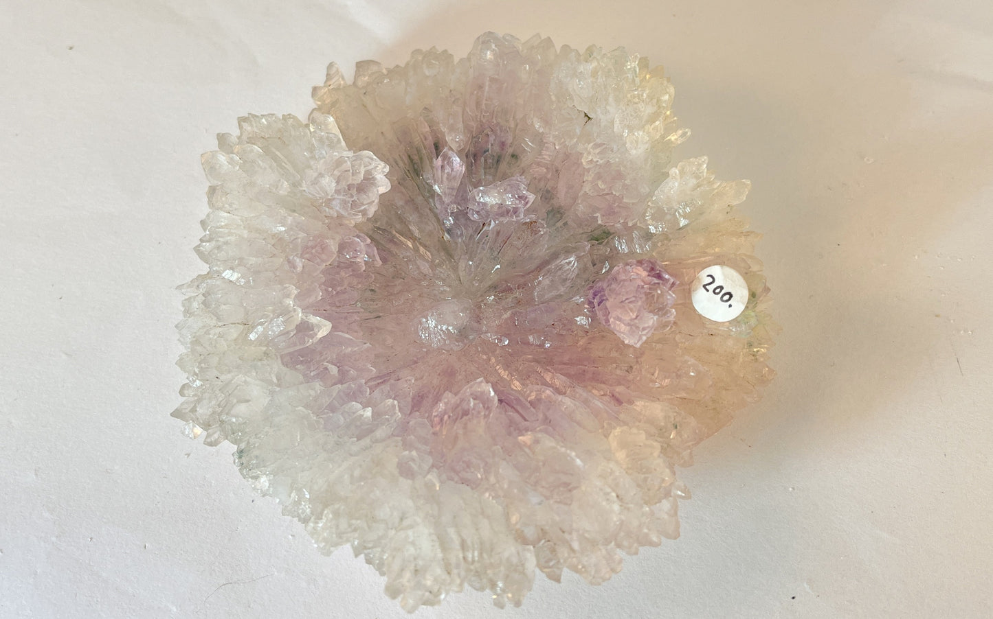 Rose Amethyst 9 - Irai, Rio Grande do Sul, Brazil