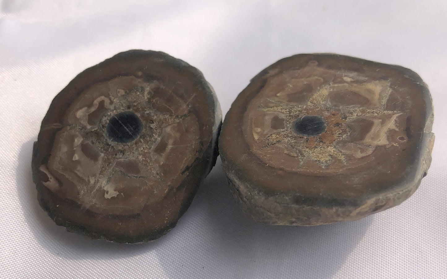 Septarian 40 - Morroco | Of Coins & Crystals