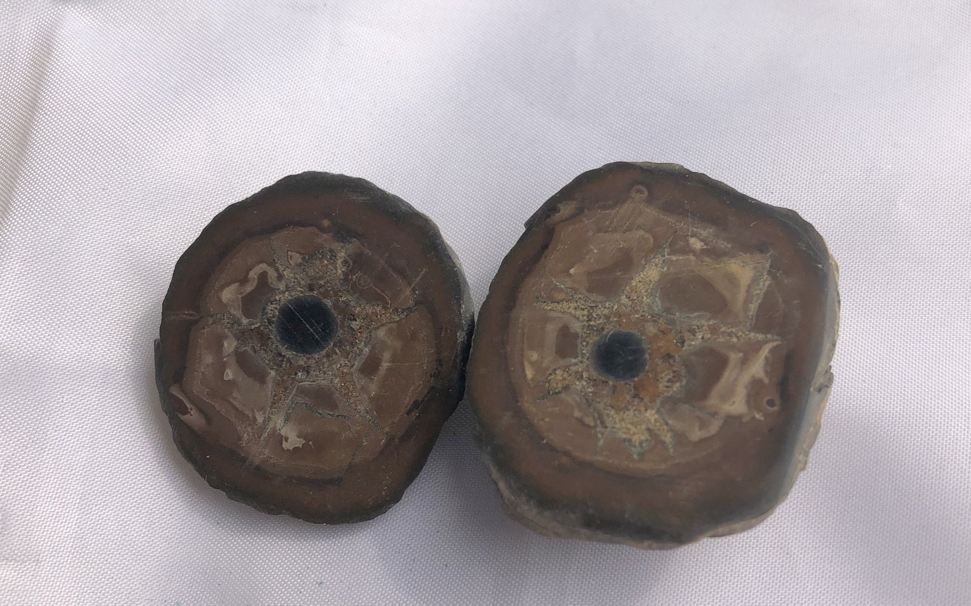 Septarian 40 - Morroco | Of Coins & Crystals