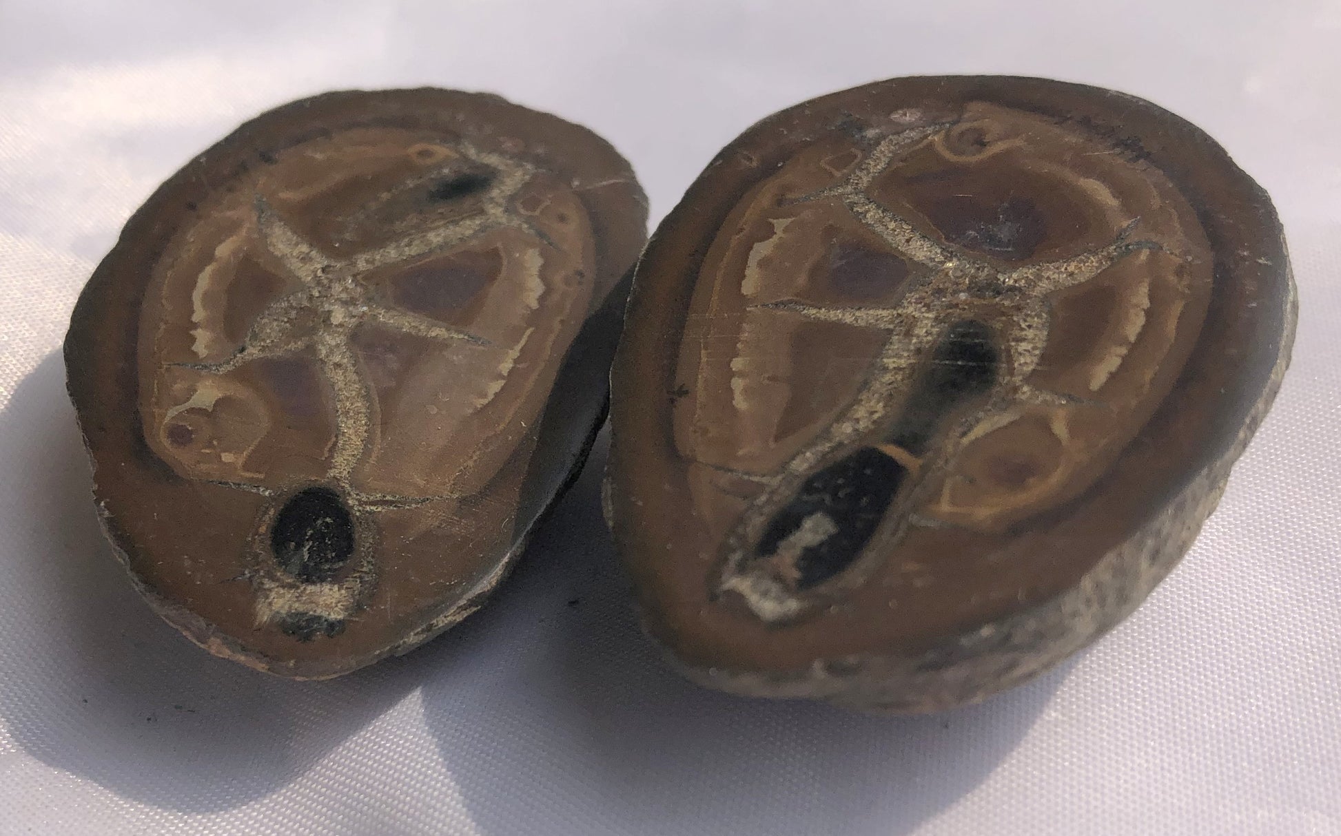 Septarian 41 - Morroco | Of Coins & Crystals