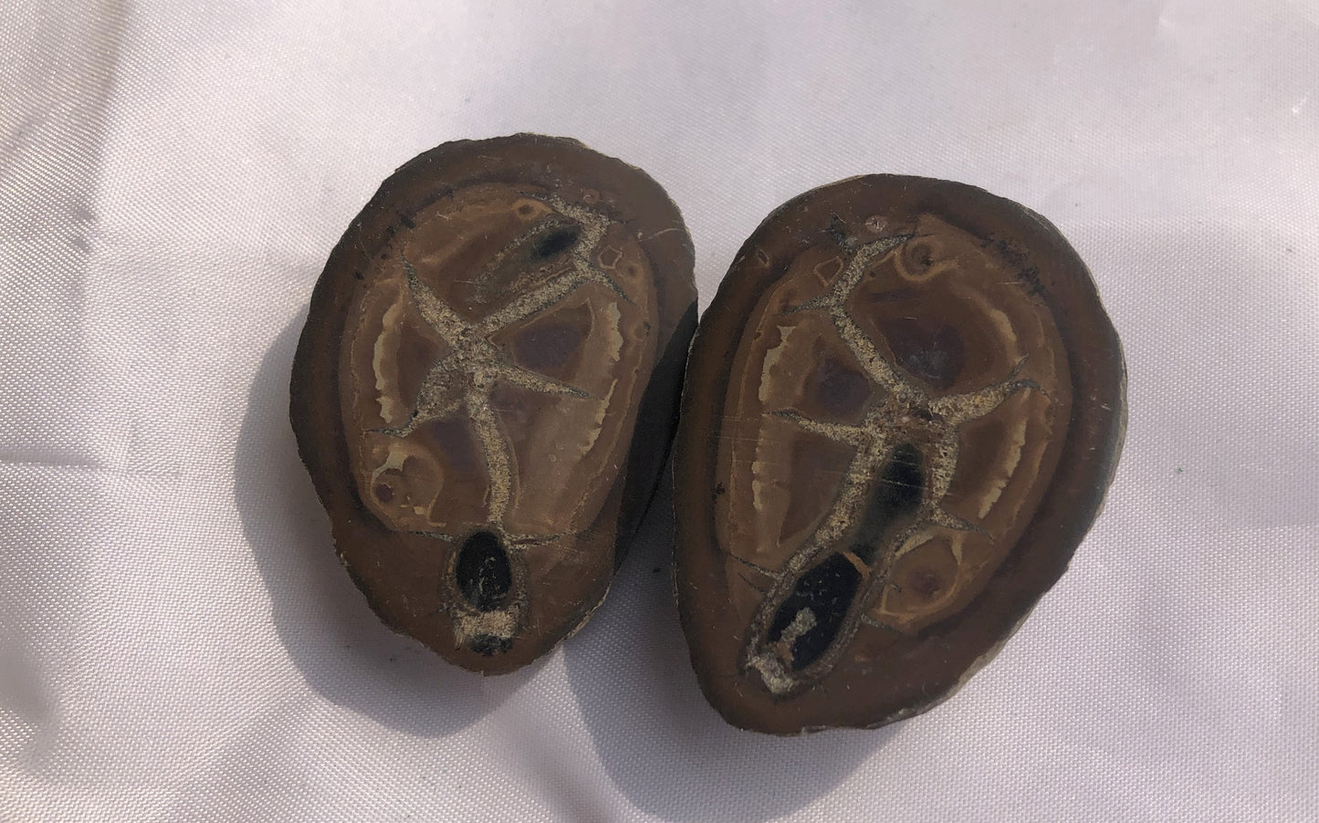 Septarian 41 - Morroco | Of Coins & Crystals