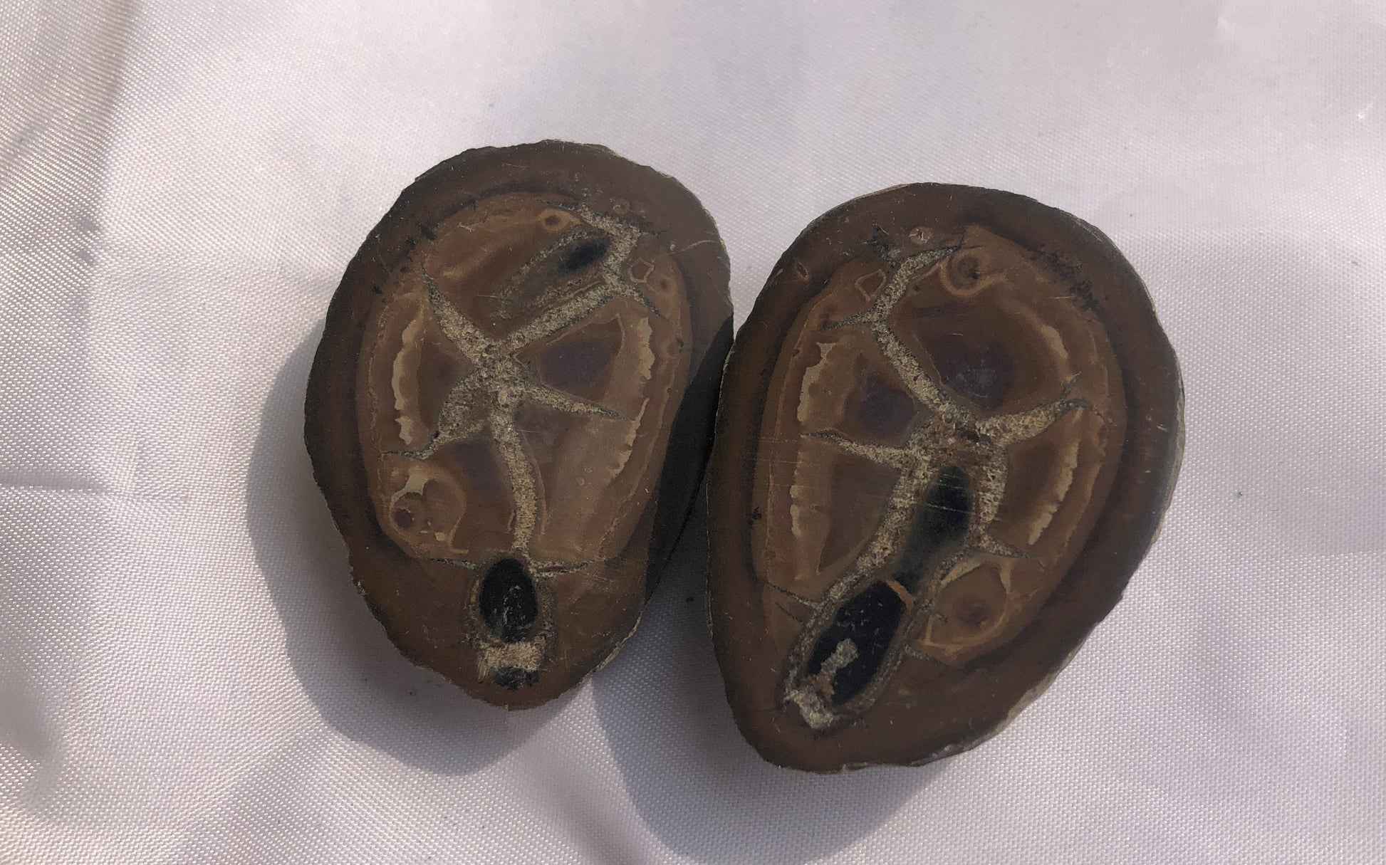 Septarian 41 - Morroco | Of Coins & Crystals