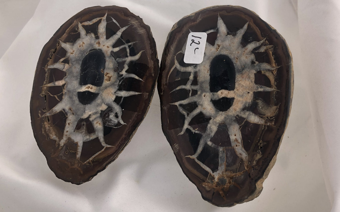Septarian 33 - Morroco | Of Coins & Crystals