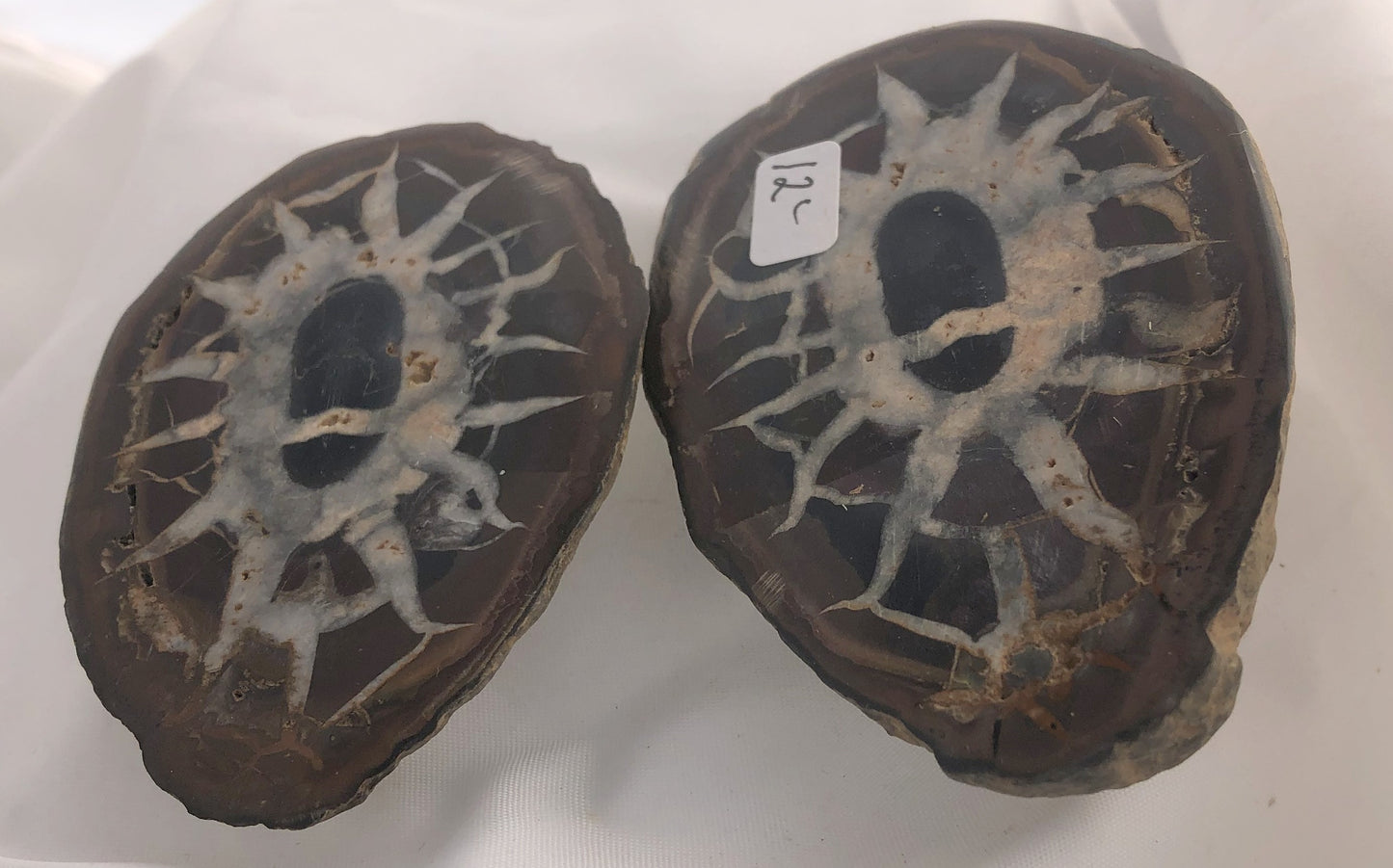 Septarian 33 - Morroco | Of Coins & Crystals