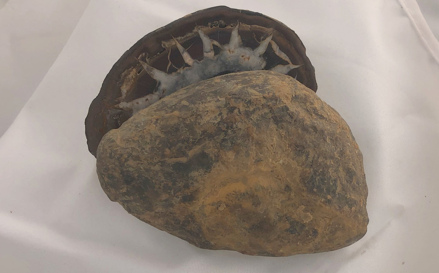 Septarian 33 - Morroco | Of Coins & Crystals