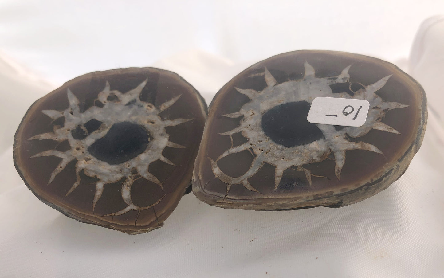 Septarian 34 - Morroco | Of Coins & Crystals