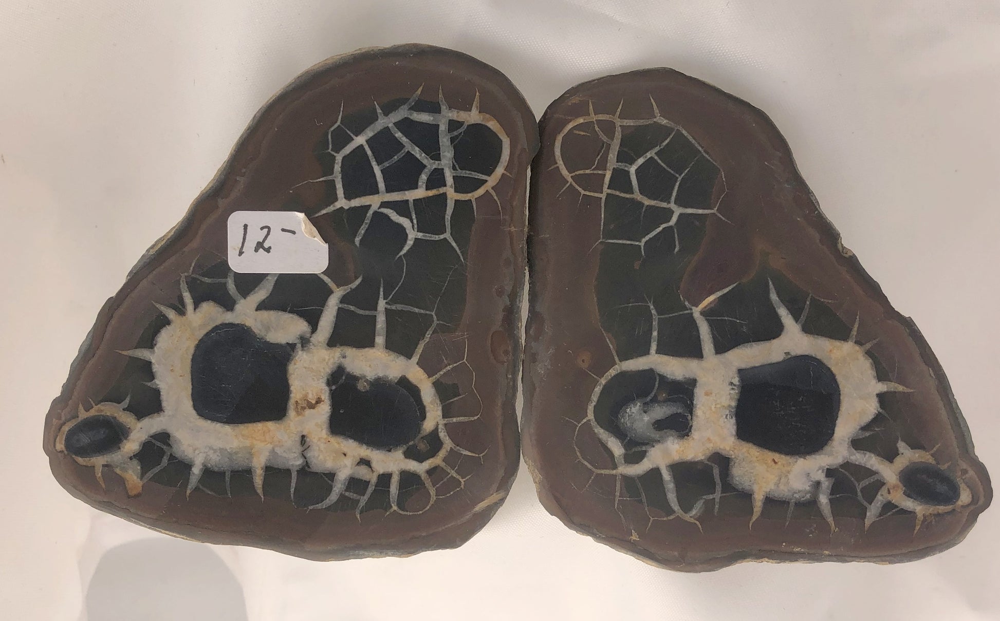 Septarian 35 - Morroco | Of Coins & Crystals