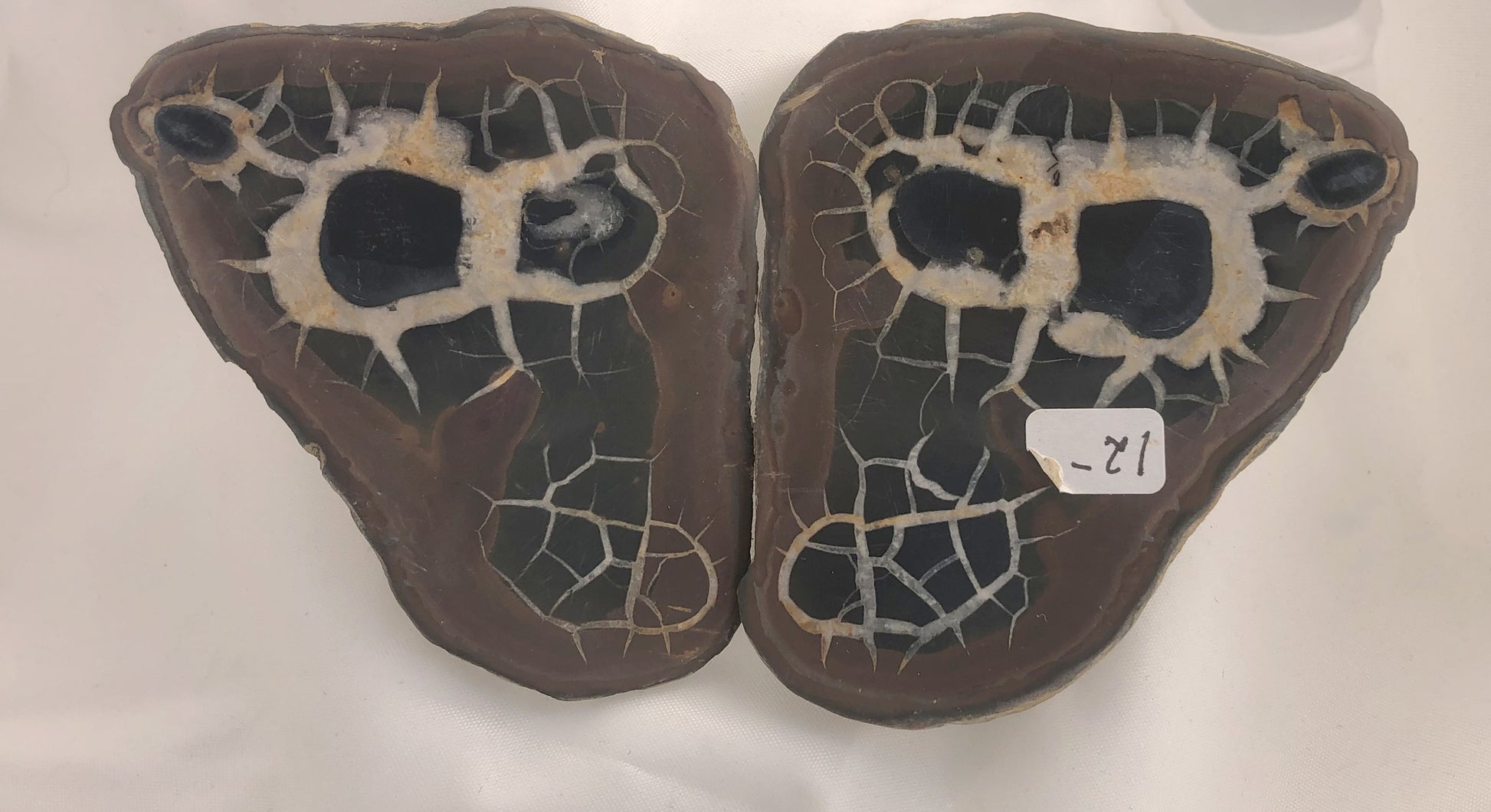 Septarian 35 - Morroco | Of Coins & Crystals