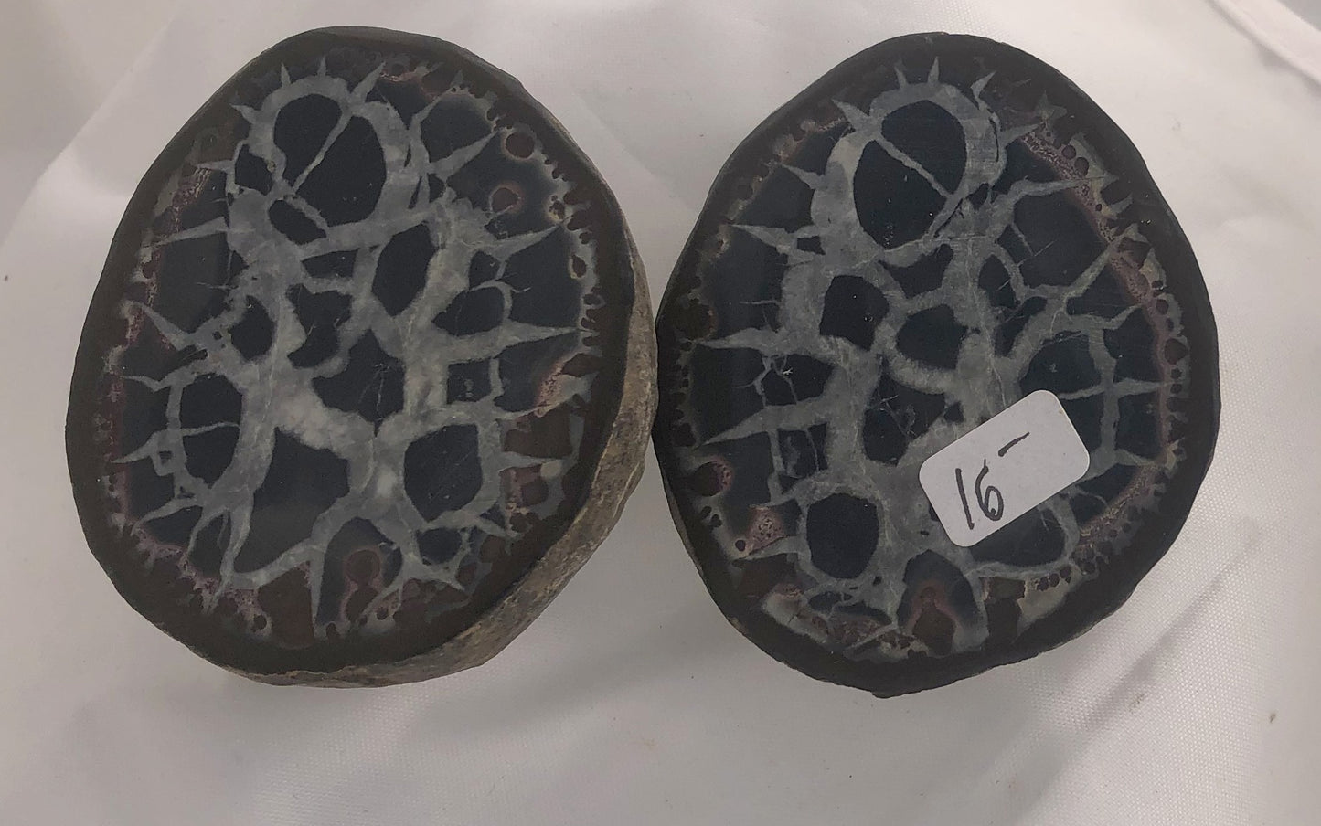Septarian 37 - Morroco | Of Coins & Crystals