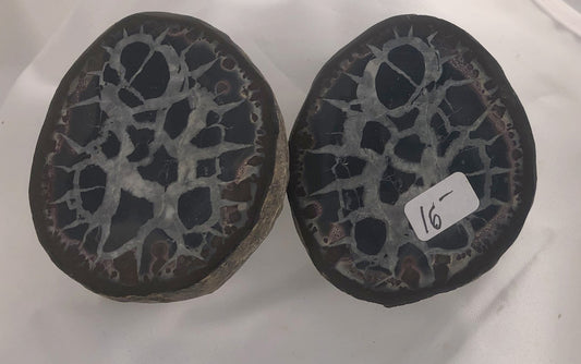 Septarian 37 - Morroco | Of Coins & Crystals