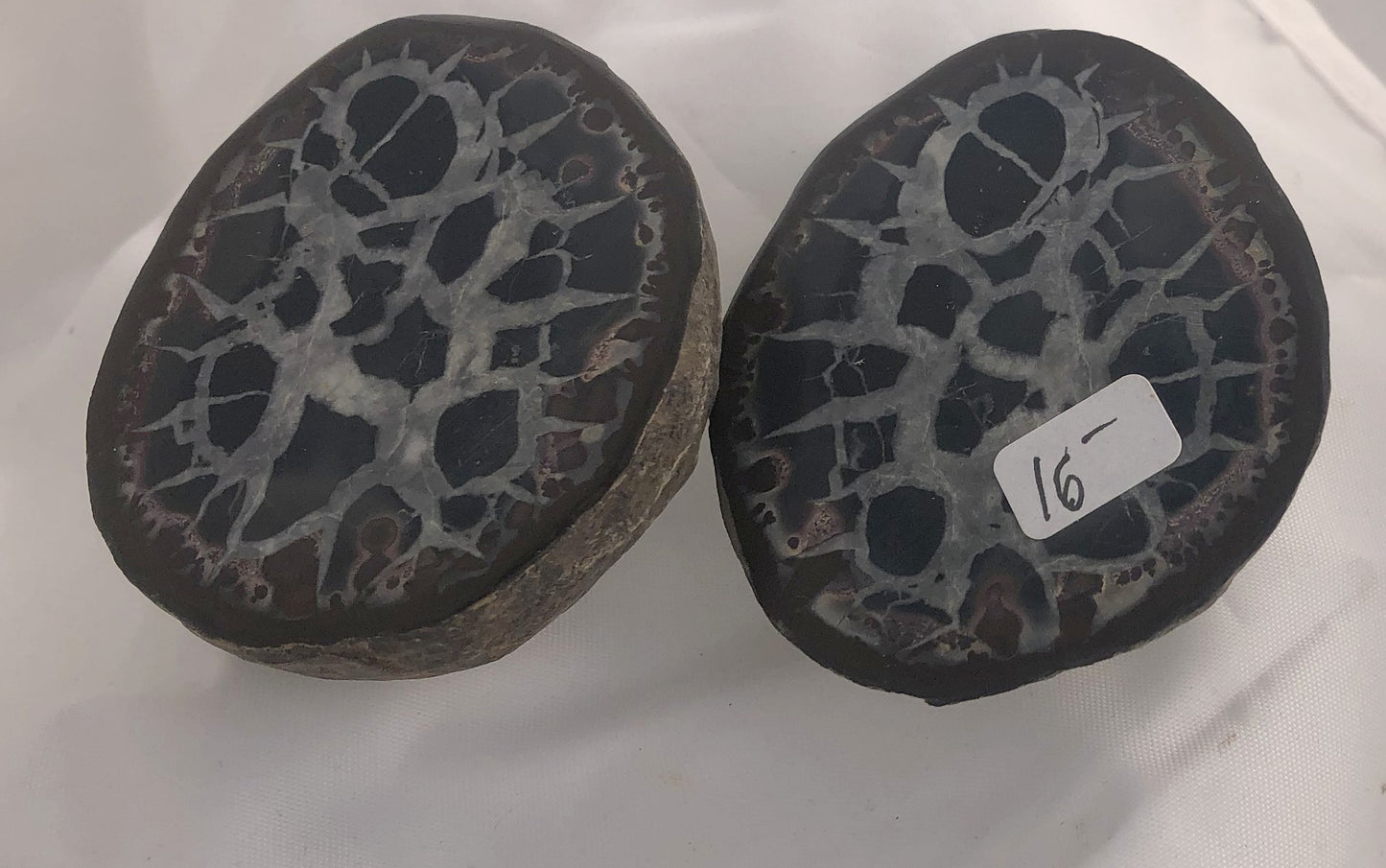 Septarian 37 - Morroco | Of Coins & Crystals