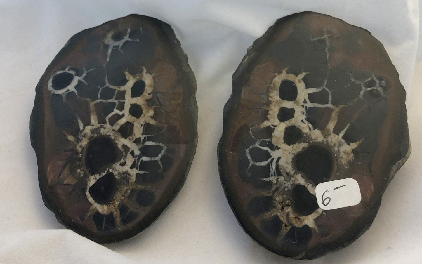 Black Septarian - Morroco | Of Coins & Crystals