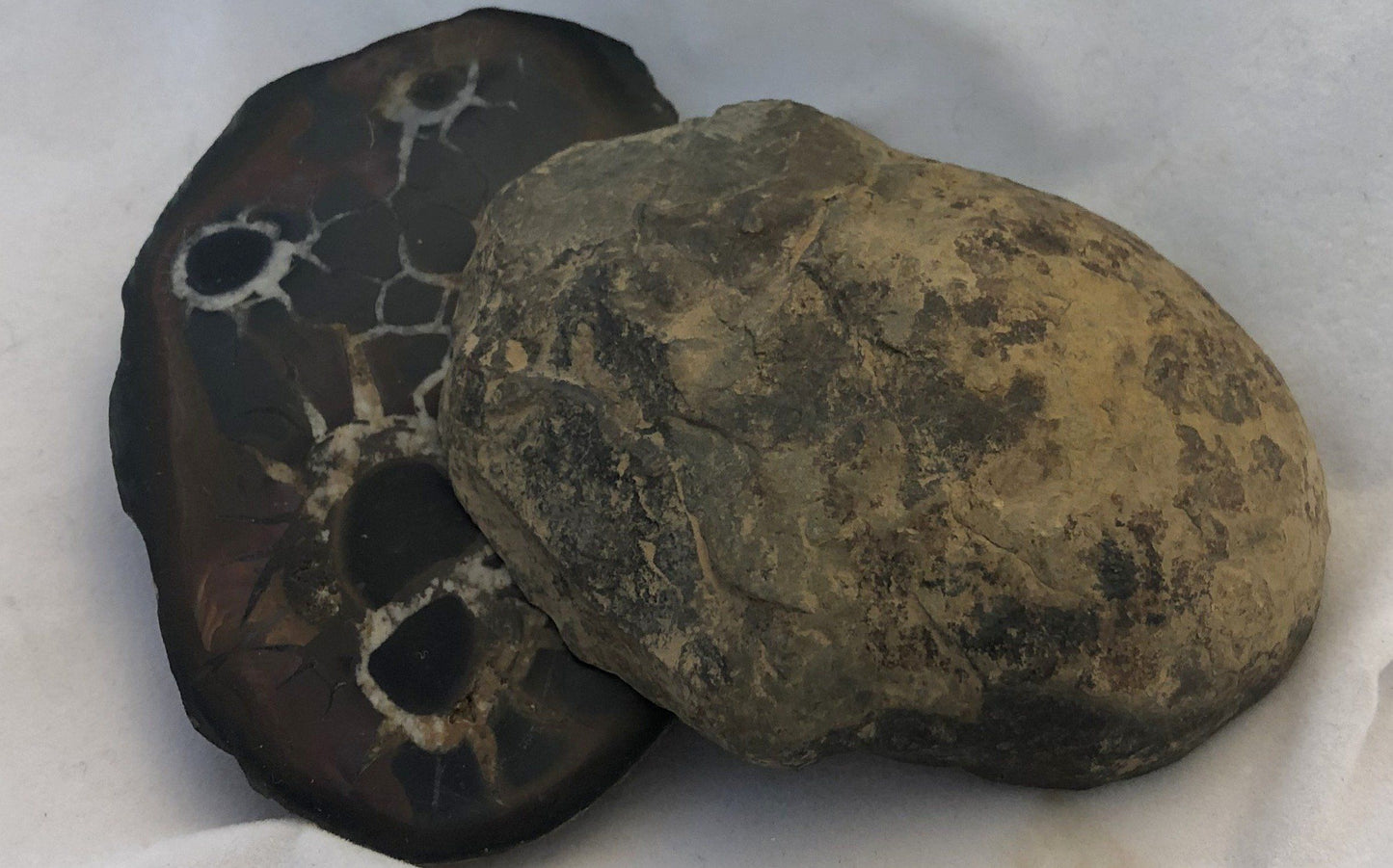 Black Septarian - Morroco | Of Coins & Crystals