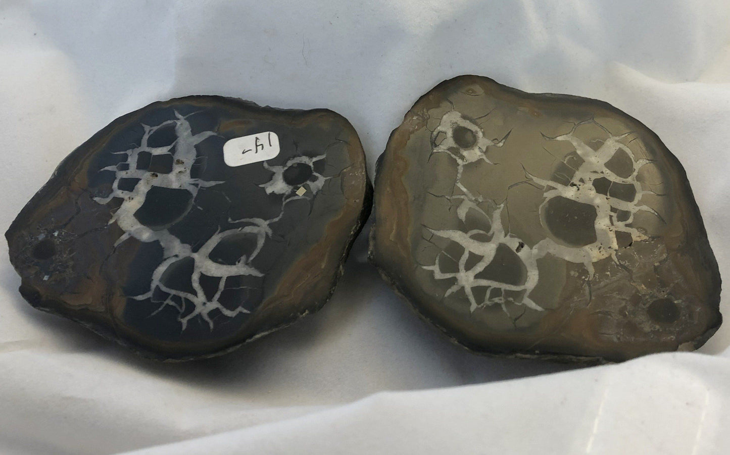 Black Septarian - Morroco | Of Coins & Crystals