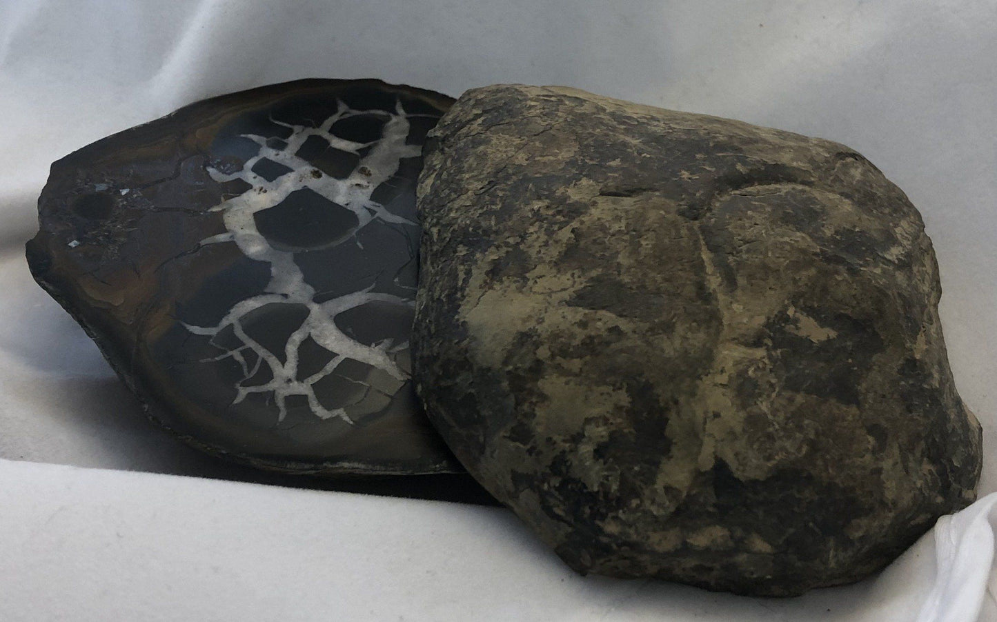 Black Septarian - Morroco | Of Coins & Crystals