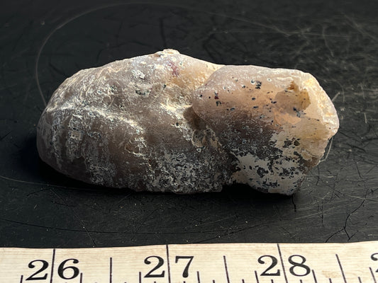 Agate Geode Half 058