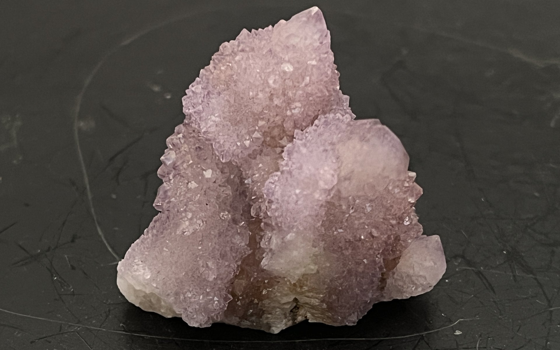 Cactus Amethyst 007 – Of Coins & Crystals